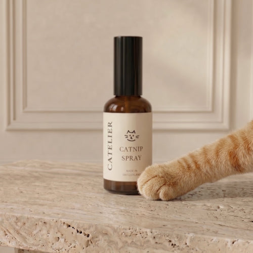 Catelier Catnip Spray          Organische Katzenminze-Essenz